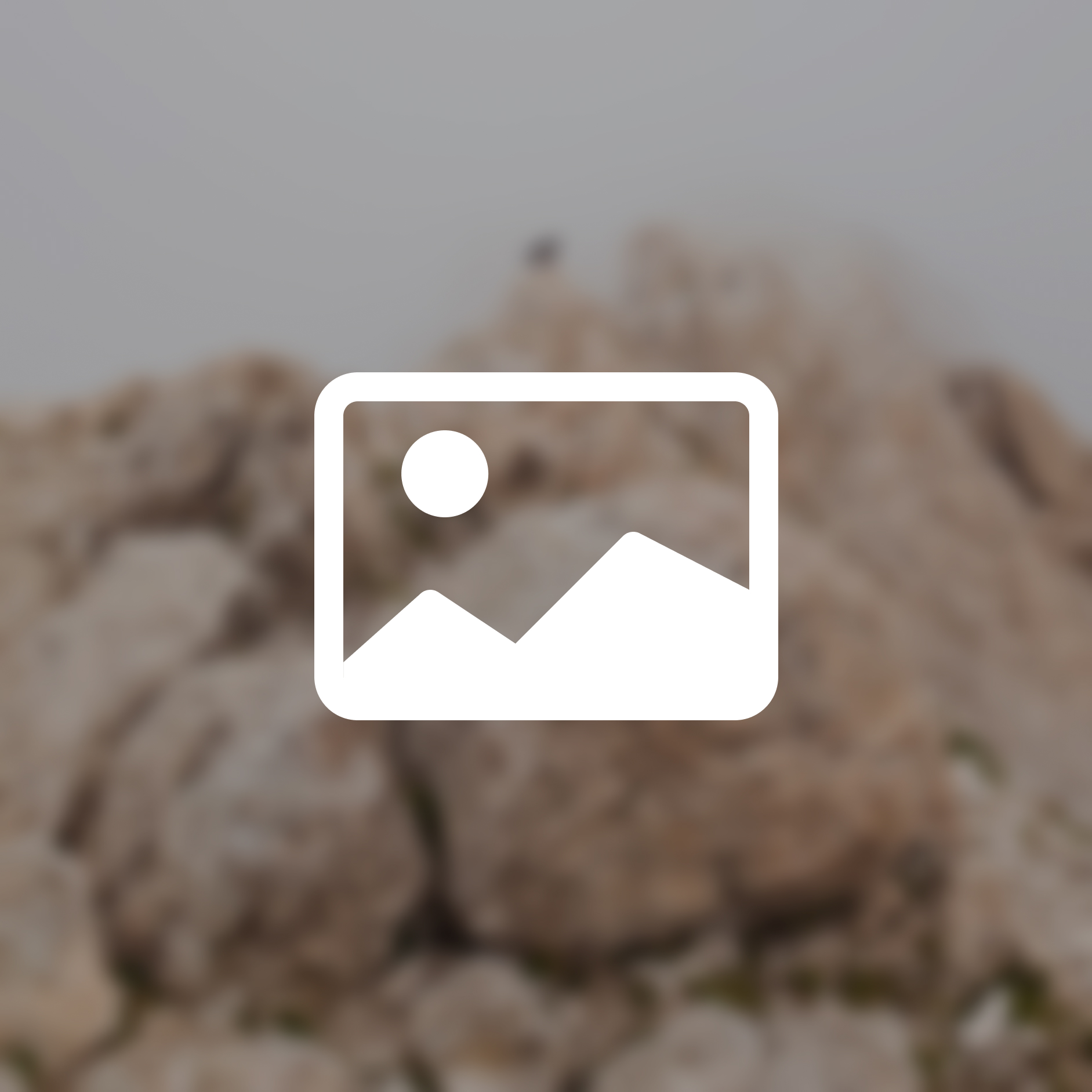 Image sans légende.