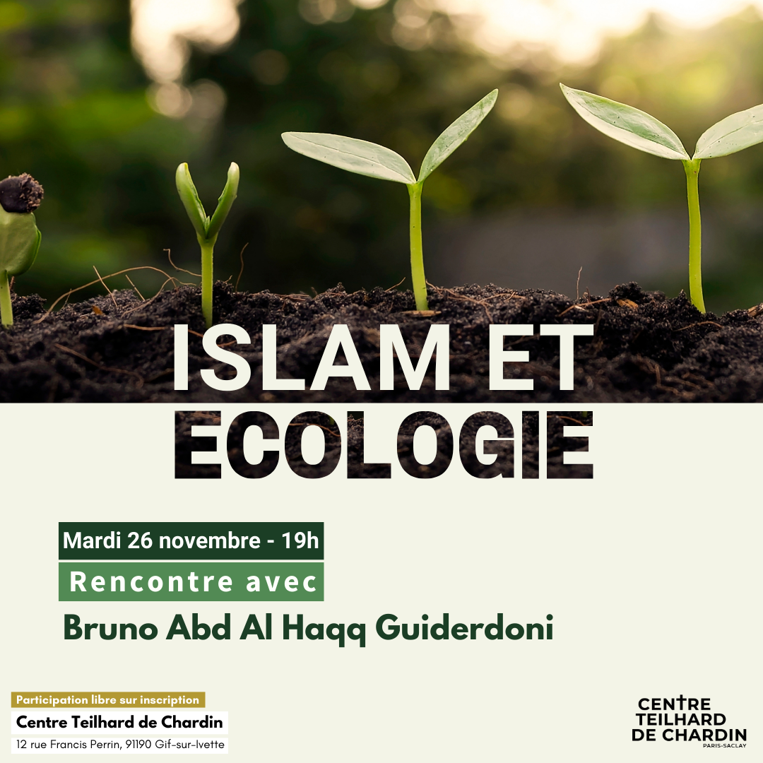 Image : Numérique et personnes vulnérables
